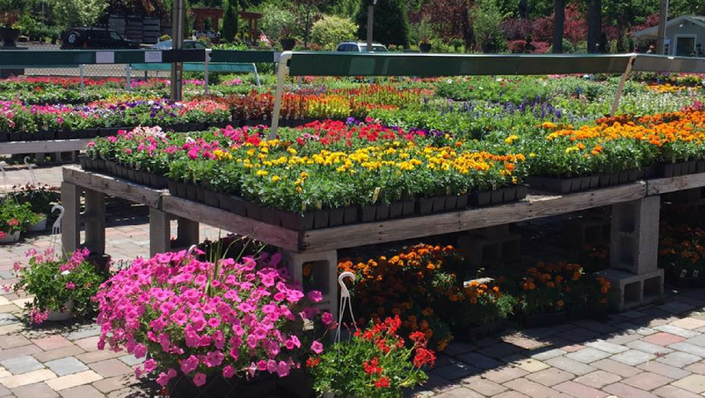 Red Hill Nursery | 241 S Little Tor Rd, New City, NY 10956 | Phone: (845) 634-2498