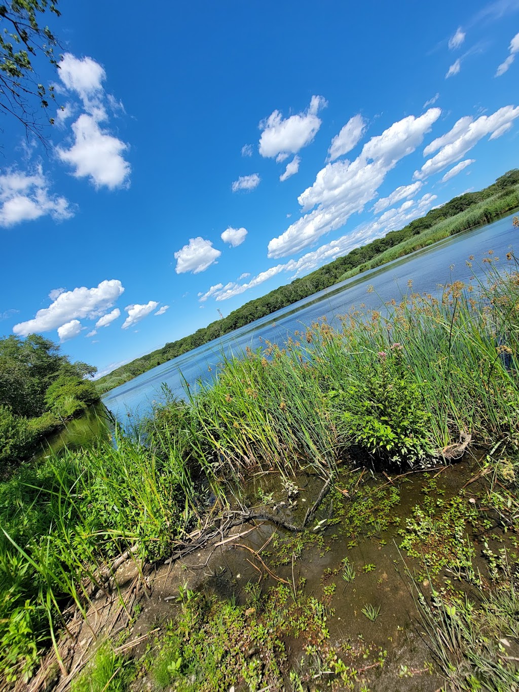 Wertheim National Wildlife Refuge | 340 Smith Rd, Shirley, NY 11967 | Phone: (631) 286-0485