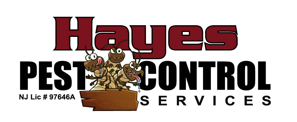 Hayes Pest Control Services | 549 Hardwood Dr, Lanoka Harbor, NJ 08734 | Phone: (609) 693-4749
