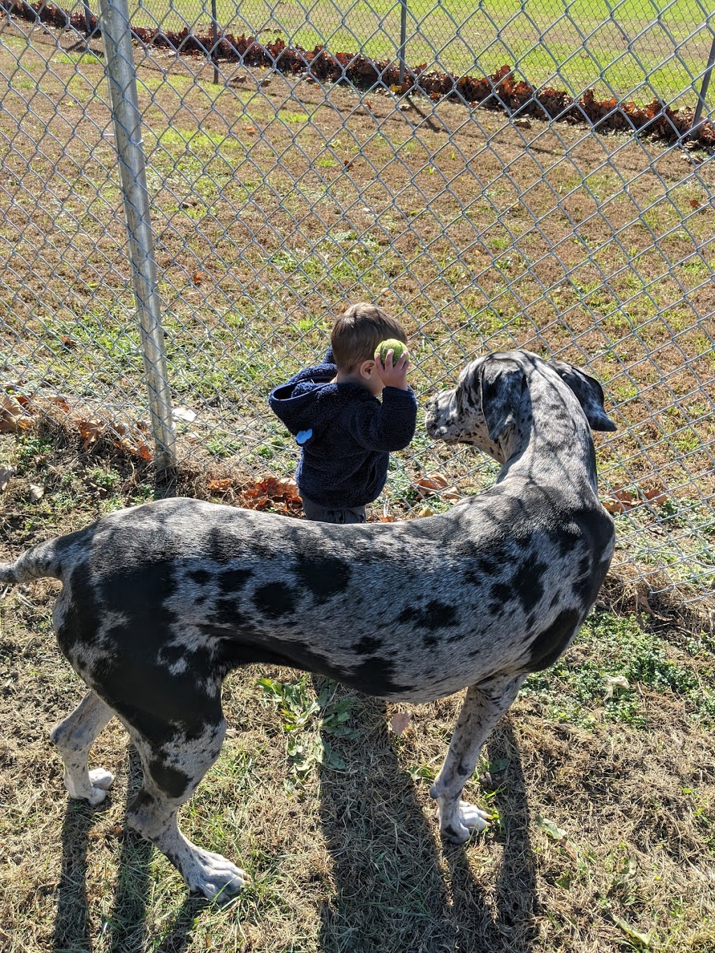 J Tracy Hermann Memorial Dog Park | 147 Wilbur Blvd, Poughkeepsie, NY 12603 | Phone: (845) 204-6767