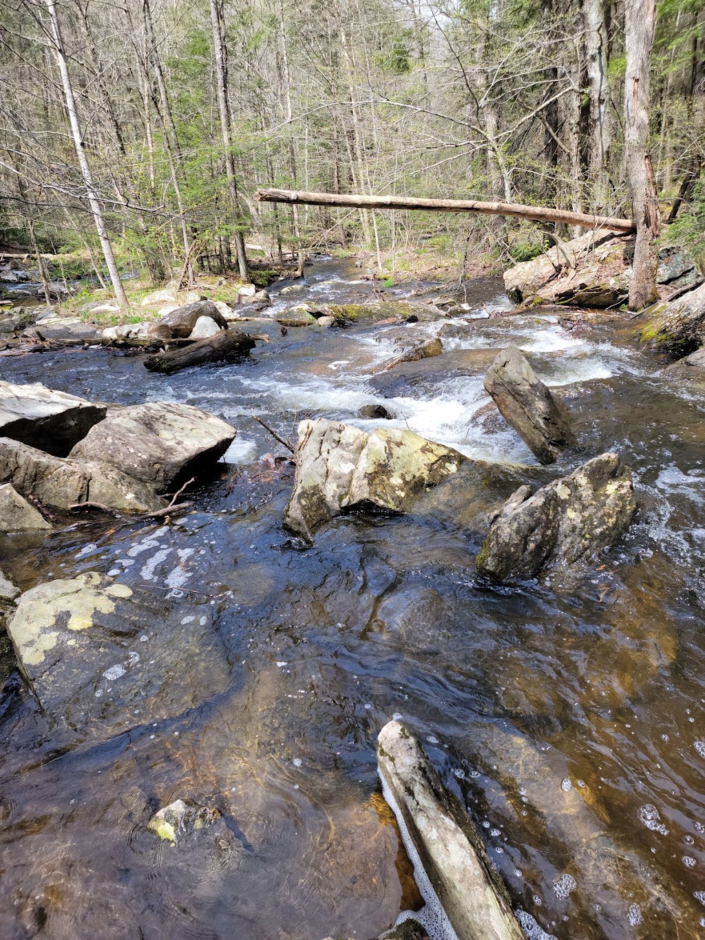 Campbell Falls State Park | Old, Spaulding Rd, Norfolk Historic District, CT 06058 | Phone: (860) 424-3200