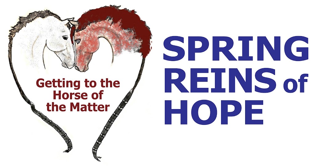 SPRING REINS of HOPE LLC (Getting to the Horse of the Matter) | c/o: Hunt Cap Farms, 401 Main St, Three Bridges, NJ 08887 | Phone: (347) 560-3125