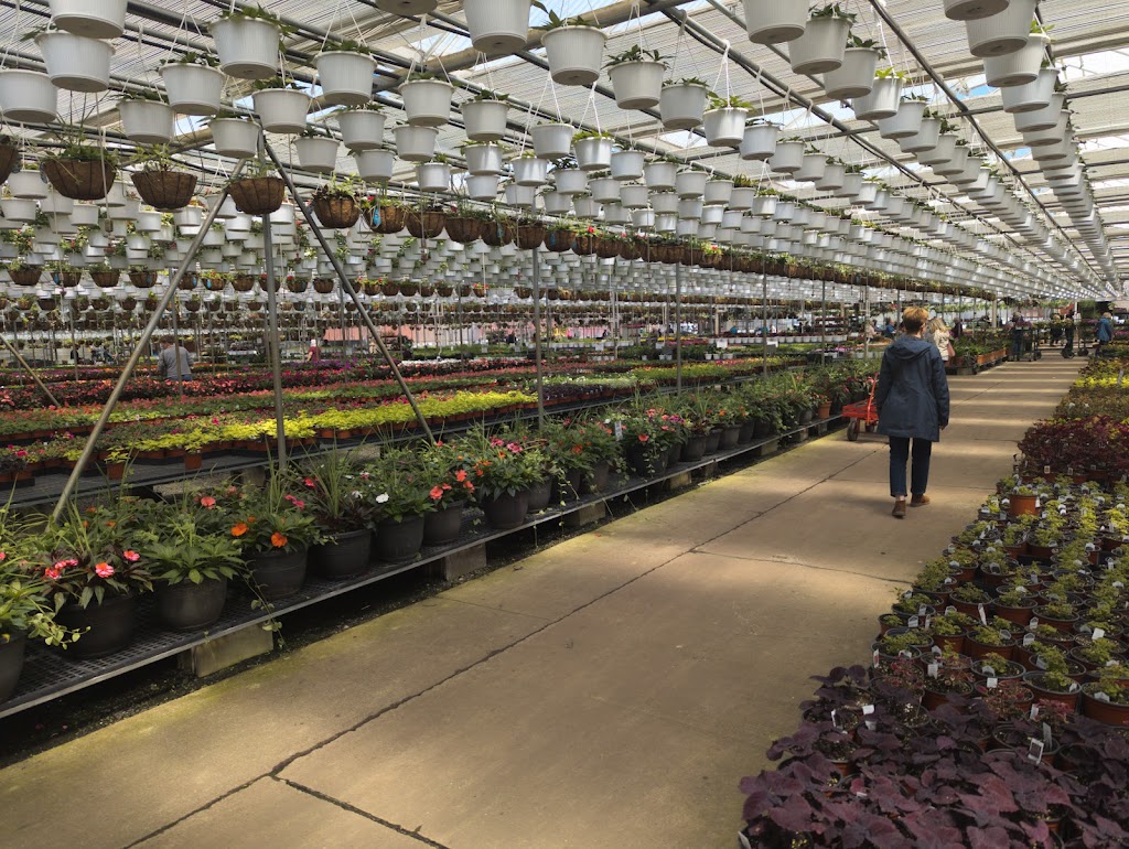 Gaskos Family Farm and Greenhouses | 112 Federal Rd, Monroe Township, NJ 08831 | Phone: (732) 446-9205
