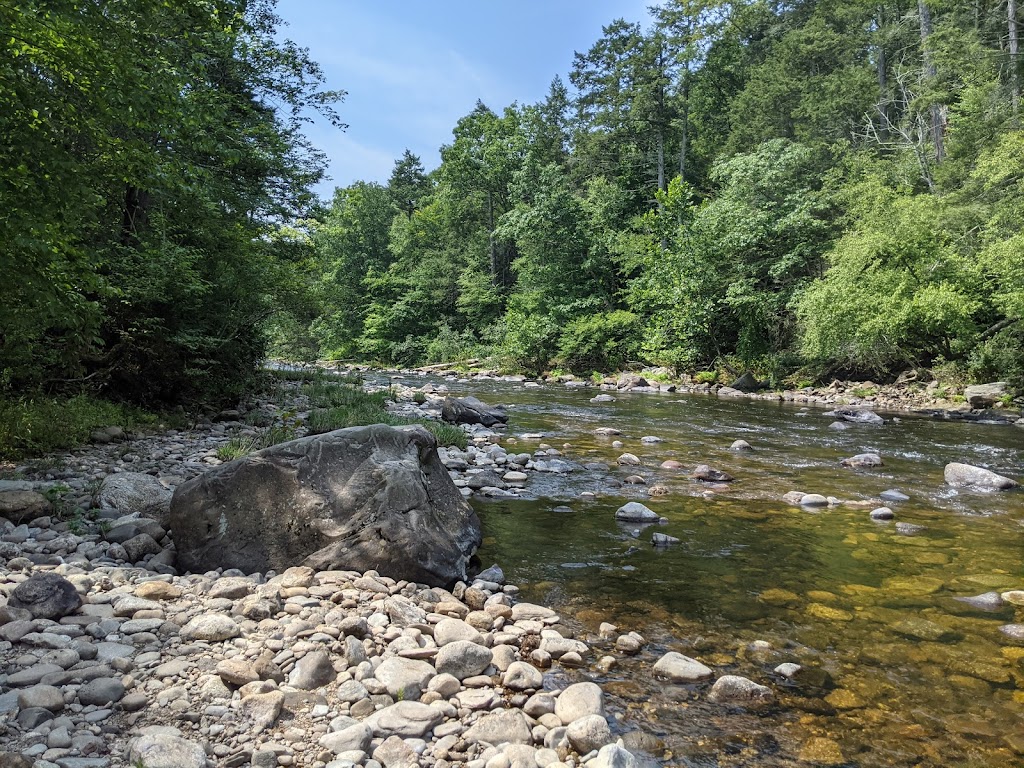 Salmon River State Forest | Route 16, Colchester, CT 06415 | Phone: (860) 424-3000