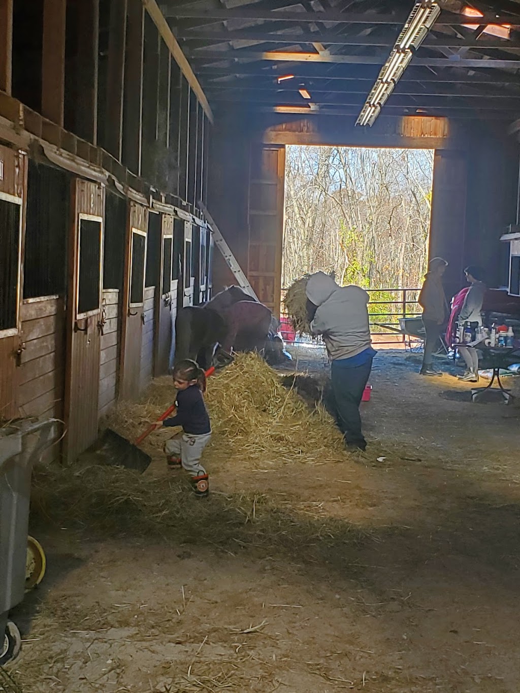 Chasing a Dream Barn | 36 Brushy Hill Rd, Newtown, CT 06470 | Phone: (475) 235-7084