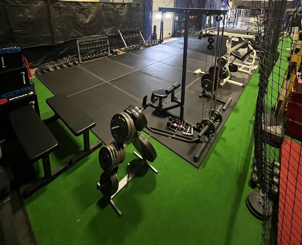 Kings of Fitness Sports Performance | 182 Old Rte 9 ste 3, Fishkill, NY 12524 | Phone: (914) 299-1156