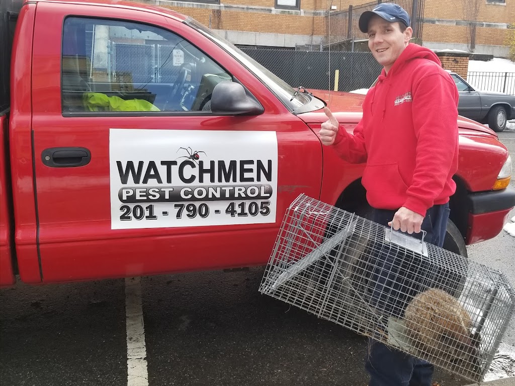 Watchmen Pest Control | 93 W 57th St, Bayonne, NJ 07002 | Phone: (201) 790-4105