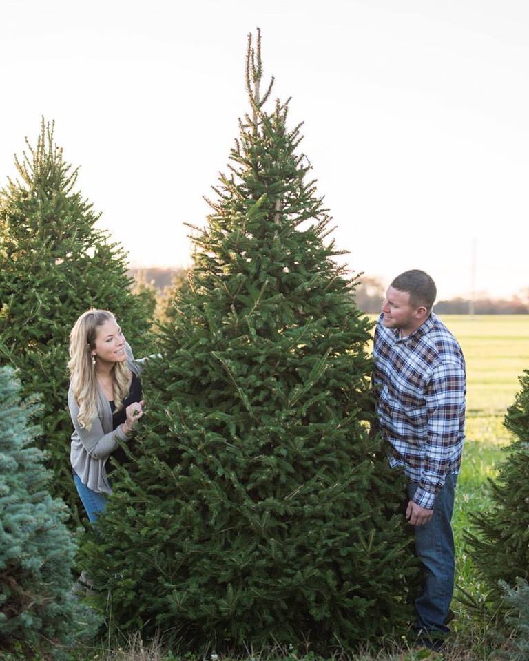 Van Meters Christmas Tree Farm | 360 Walters Rd, Bridgeton, NJ 08302 | Phone: (856) 207-0876