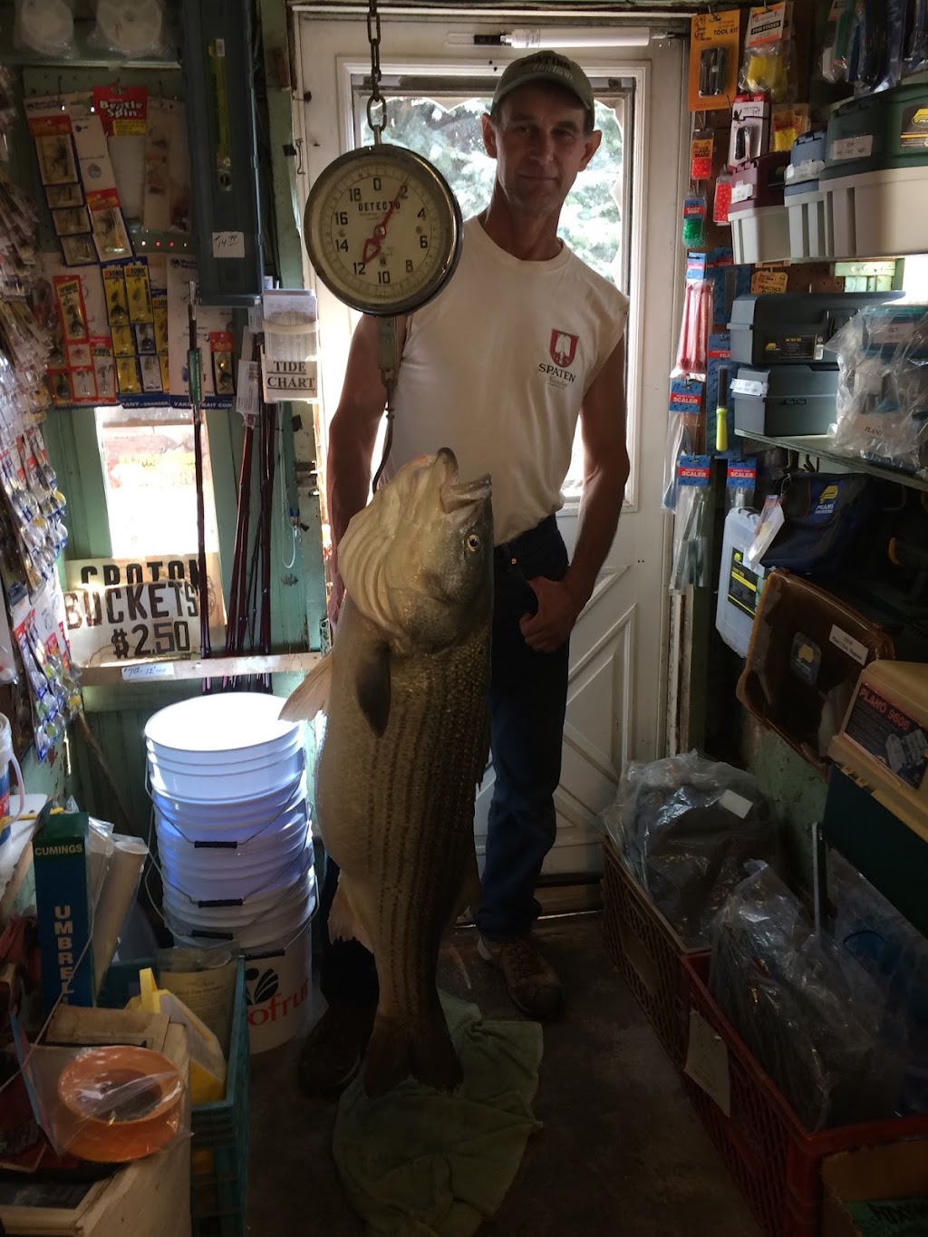 Croton Bait & Tackle | 65 N Riverside Ave, Croton-On-Hudson, NY 10520 | Phone: (914) 271-3675