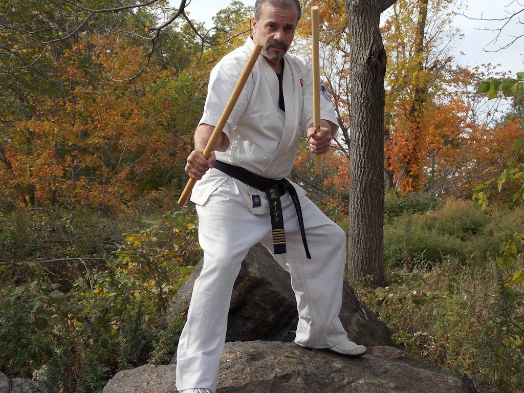 Bronx Bushiken Karate/Bronx IKI Krav Maga | 2907 Scott Pl, The Bronx, NY 10465 | Phone: (718) 710-8101