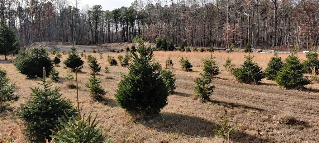 Kavett Christmas Tree Farm | 471 Casino Dr, Farmingdale, NJ 07727 | Phone: (732) 431-2152