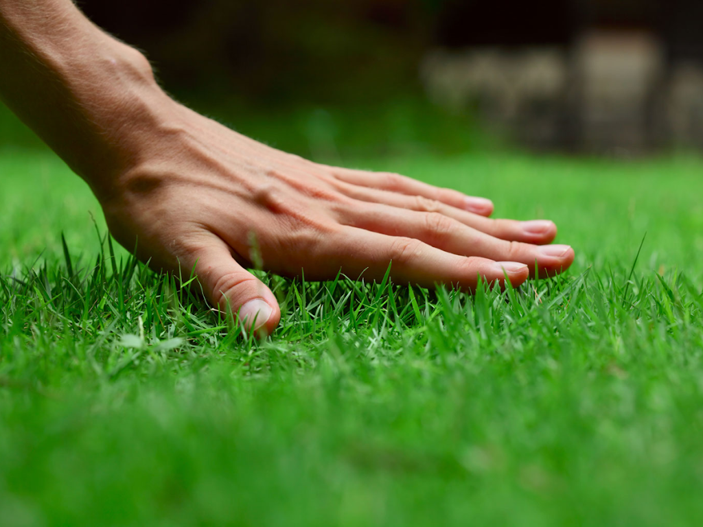 EcoGreen Lawn Care | 1805 Green Briar Dr, Eagleville, PA 19403 | Phone: (610) 584-3266