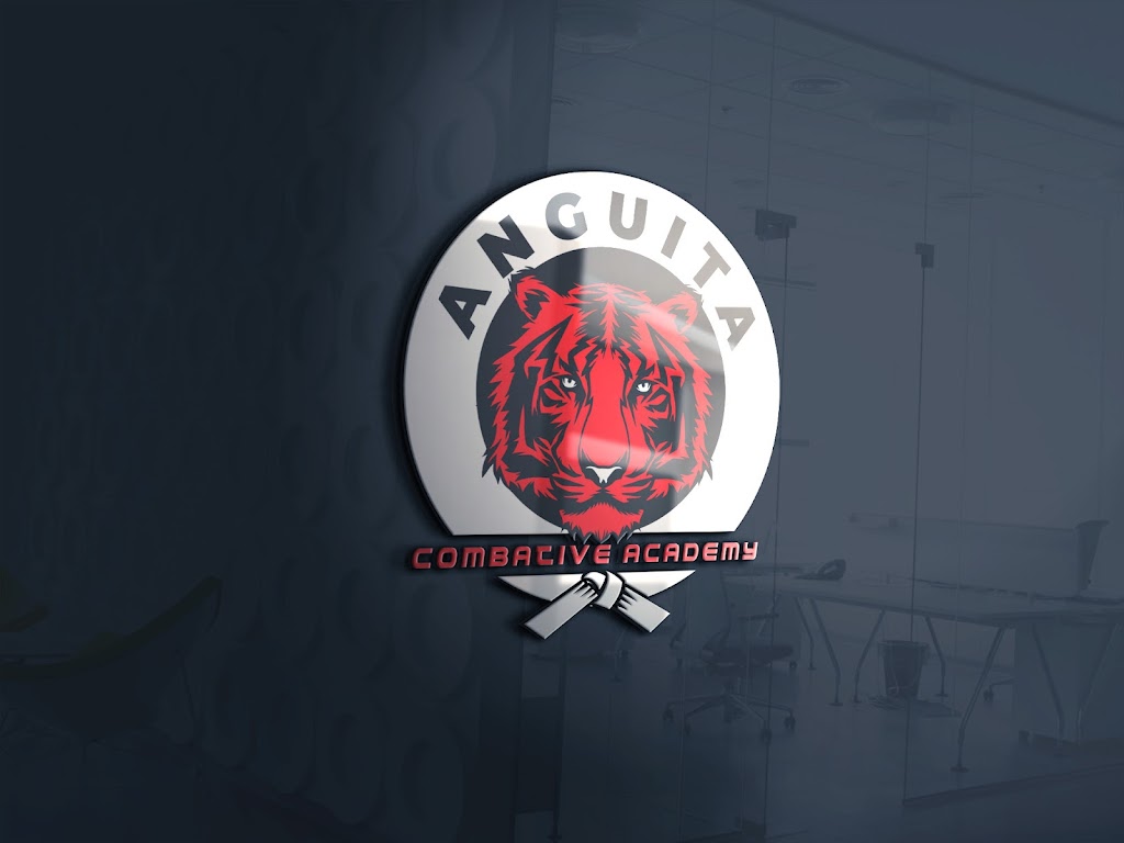 Anguita Combative Academy | 50 New St Suite B, Belleville, NJ 07109 | Phone: (973) 900-2965