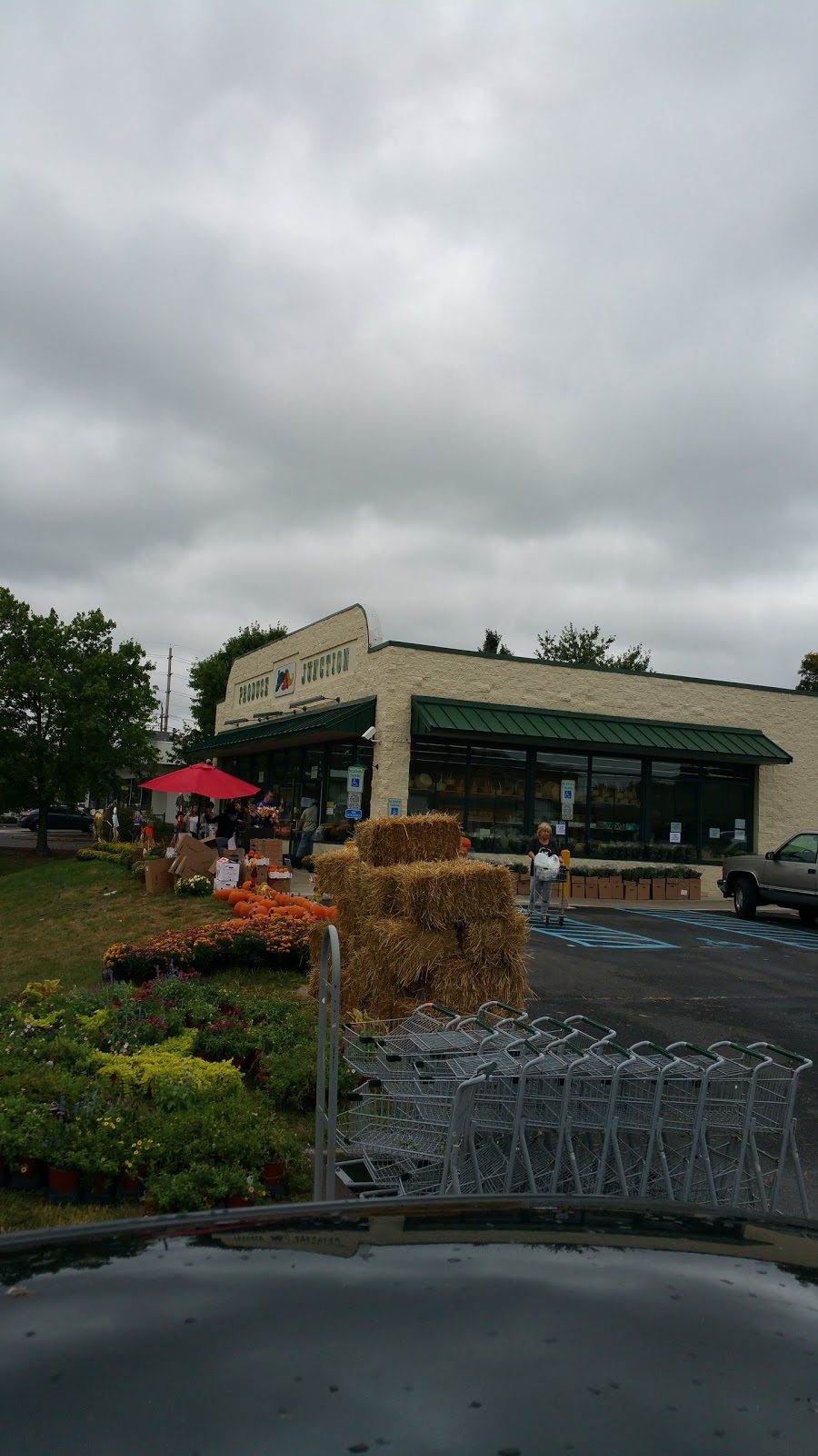Produce Junction | 14 Willow Rd, Maple Shade, NJ 08052 | Phone: (856) 727-0806
