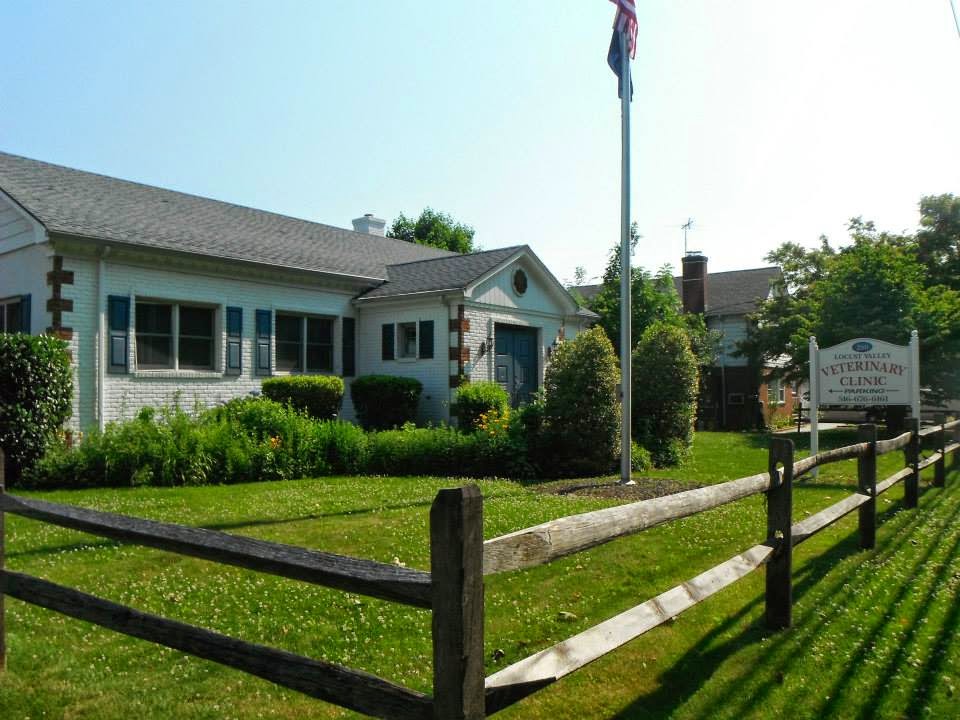 Locust Valley Veterinary Clinic | 280 Forest Ave, Locust Valley, NY 11560 | Phone: (516) 676-6161
