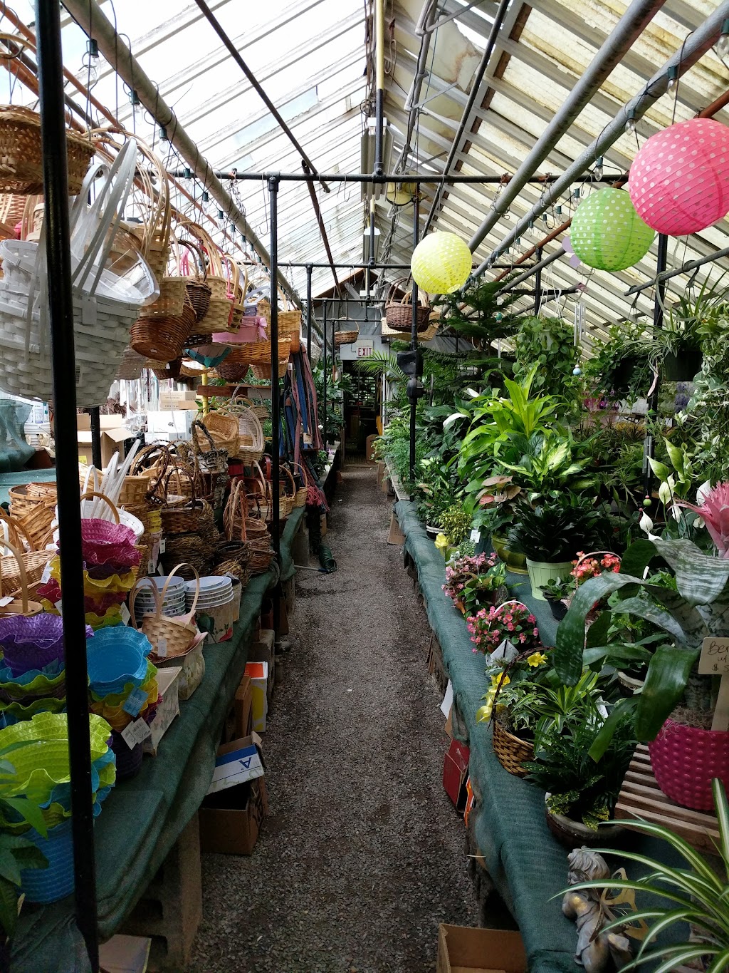 Pernas Plant and Flower Shop | 189 Washington Rd, Princeton, NJ 08540 | Phone: (609) 452-1383