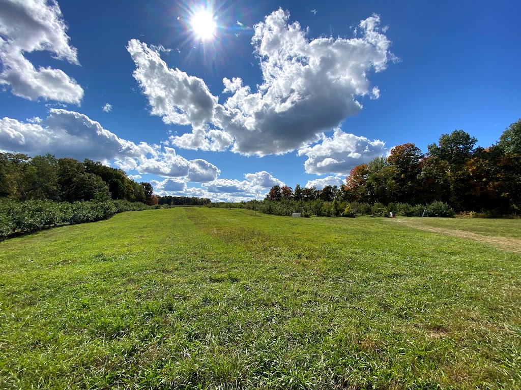 Clarkes Family Farm | 2086 US-44, Modena, NY 12548 | Phone: (845) 901-7442