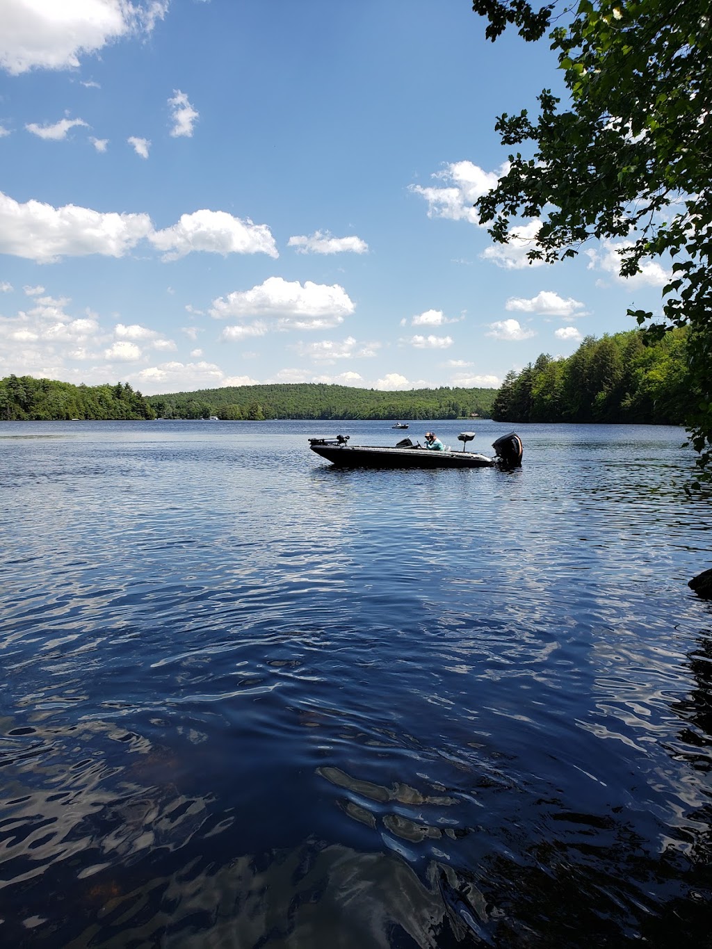 Tolland State Forest | 410 Tolland Rd, East Otis, MA 01029 | Phone: (413) 269-6002