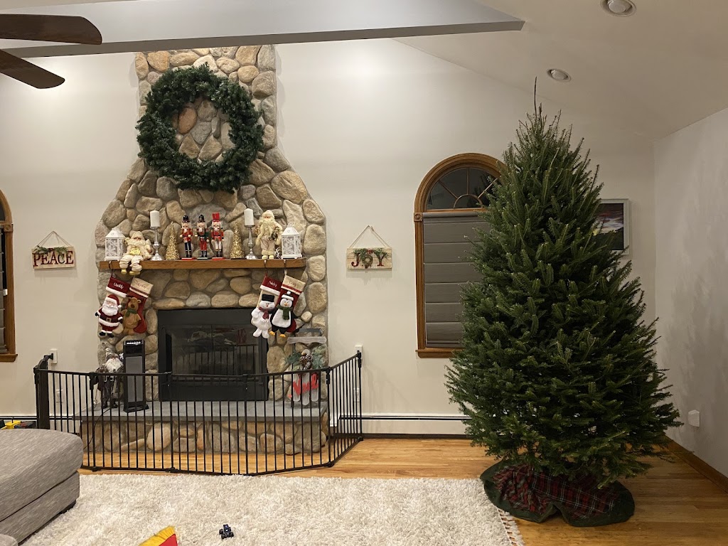 Christmas Tree Nursery Farm | 399 Atlantic Ave, Oceanside, NY 11572 | Phone: (516) 543-7240