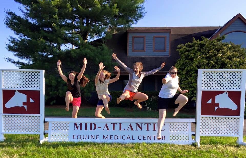 Mid-Atlantic Equine Medical Center | 40 Frontage Rd, Ringoes, NJ 08551 | Phone: (609) 397-0078