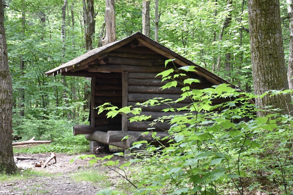 Beebe Hill State Forest | County Rte 5, Austerlitz, NY 12017 | Phone: (518) 392-3362
