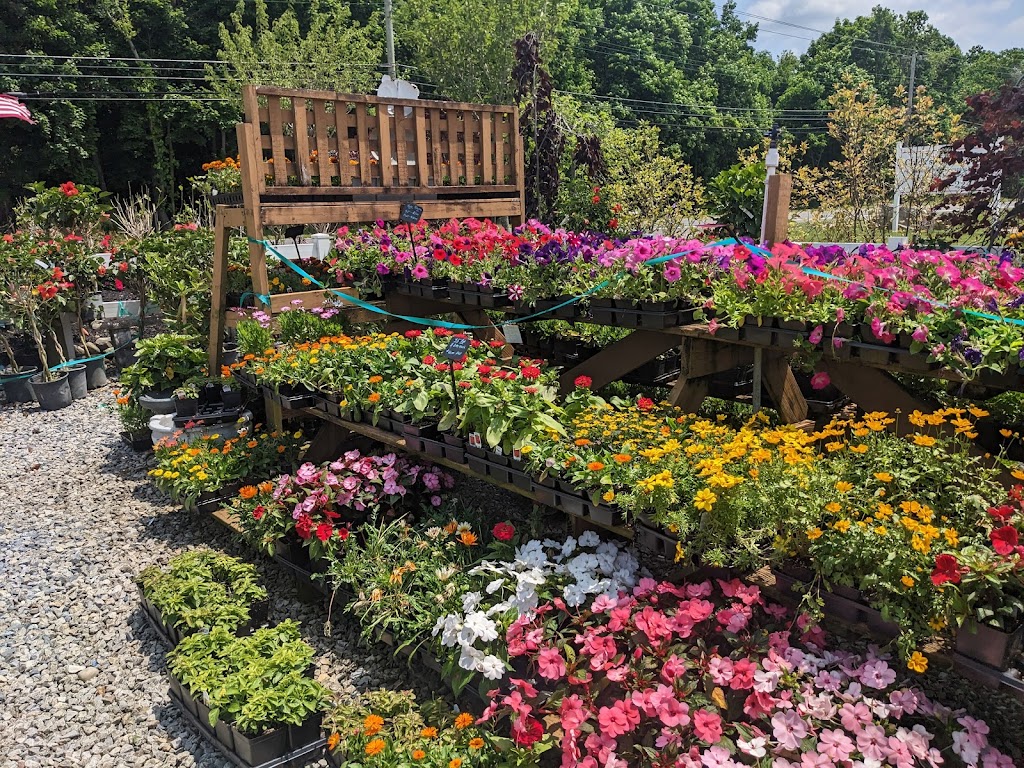 Four Seasons Nursery | 1114 N Delsea Dr, Clayton, NJ 08312 | Phone: (856) 307-0600