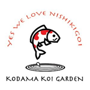 Kodama Koi Garden NY | 134 E Woodside Ave, Patchogue, NY 11772 | Phone: (631) 438-0788