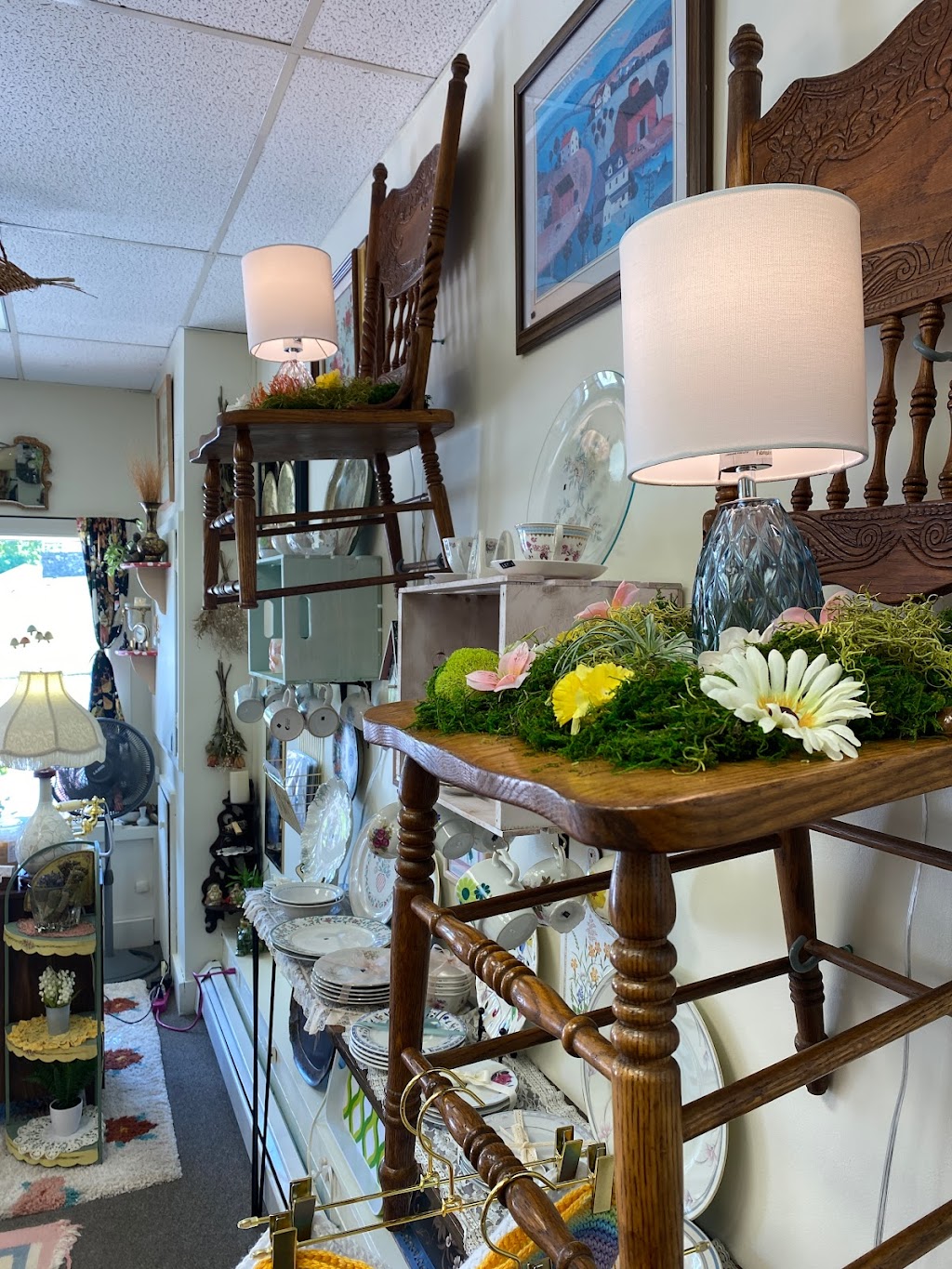 Pretty Oddities | 620 North St, Middletown, NY 10940 | Phone: (845) 394-0038