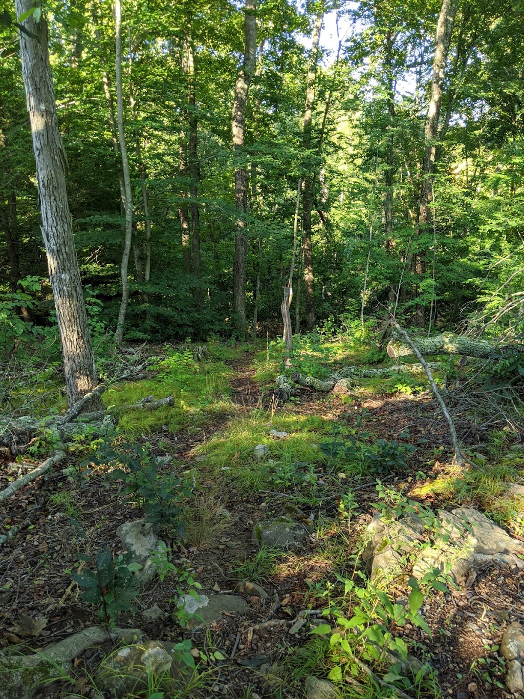 Fox Hollow Preserve | 200 Sleepy Hill Rd, Southbury, CT 06488 | Phone: (203) 264-4441