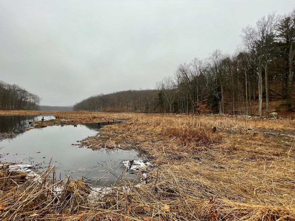 Bennetts Pond State Park | 550-698 Bennetts Farm Rd, Ridgefield, CT 06877 | Phone: (860) 424-3000