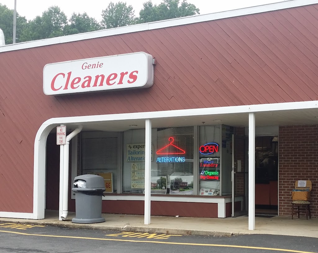 Genie Cleaners | 559 E Main St # 5, Denville, NJ 07834 | Phone: (973) 625-1311
