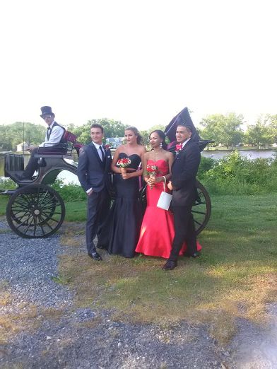 New Freedom Horse Drawn Carriages, LLC | 108 New Freedom Rd, Monroeville, NJ 08343 | Phone: (856) 358-6331