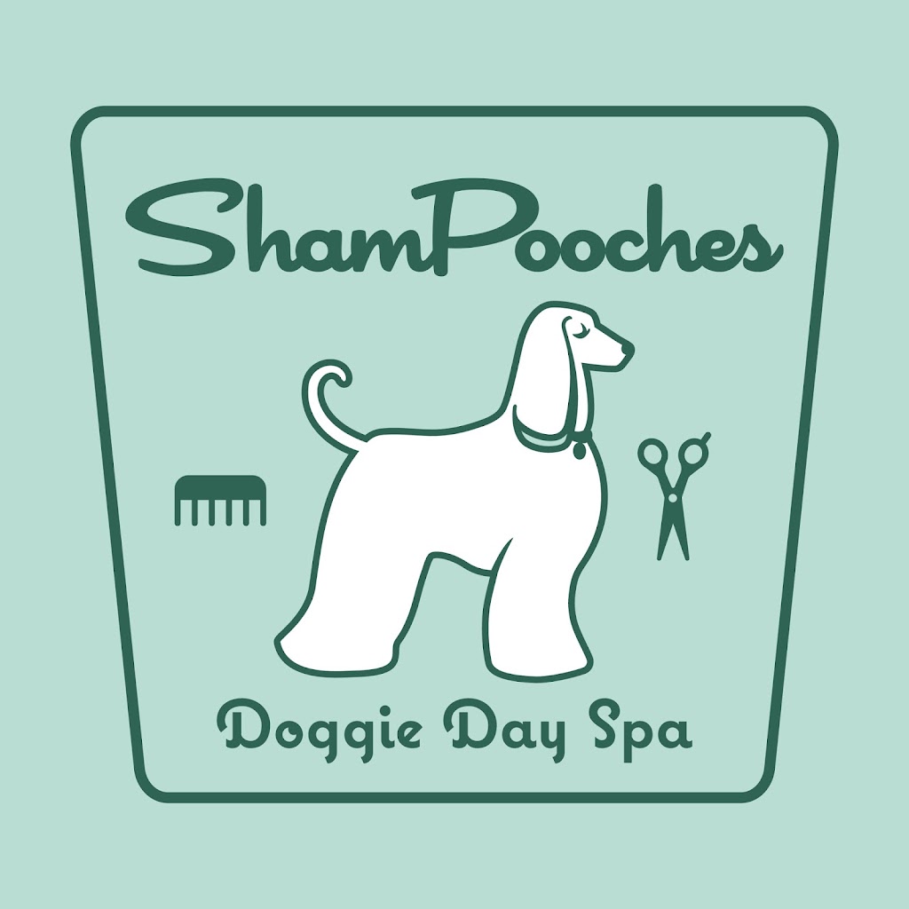 Shampooches Doggie Day Spa | 2064 New Hackensack Rd #5, Poughkeepsie, NY 12603 | Phone: (845) 454-2100