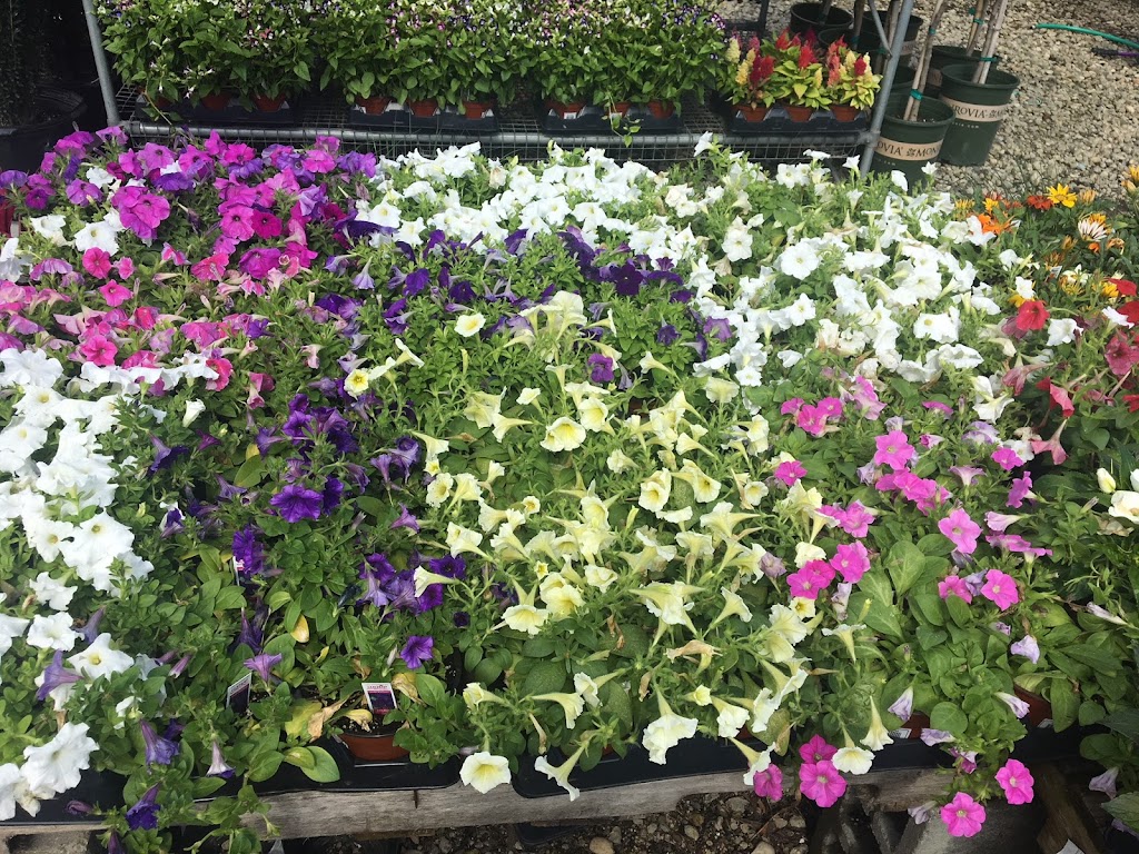 The Gardeners Market | 124 Nassau Blvd, West Hempstead, NY 11552 | Phone: (516) 538-4499