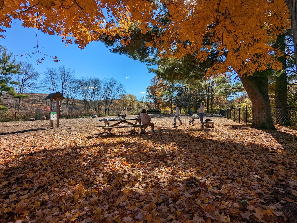 Paw Meadow Dog Park | 22 Iron Horse Blvd, Simsbury, CT 06070 | Phone: (860) 578-4729