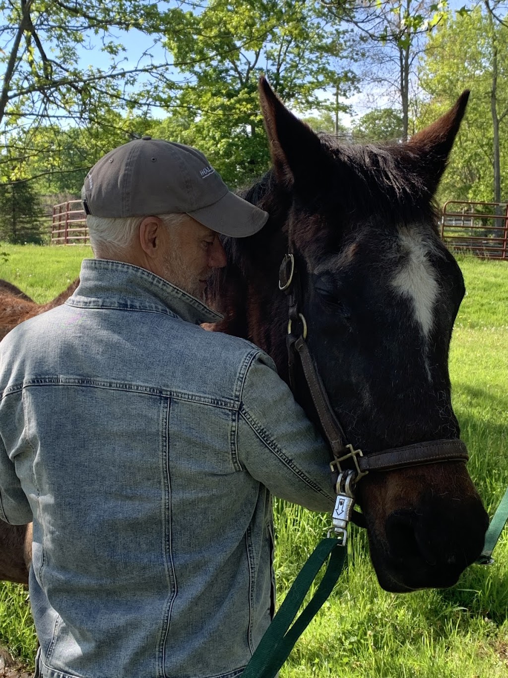 Endeavor Therapeutic Horsemanship, Inc. | 556 Croton Lake Rd, Mt Kisco, NY 10549 | Phone: (914) 241-0211