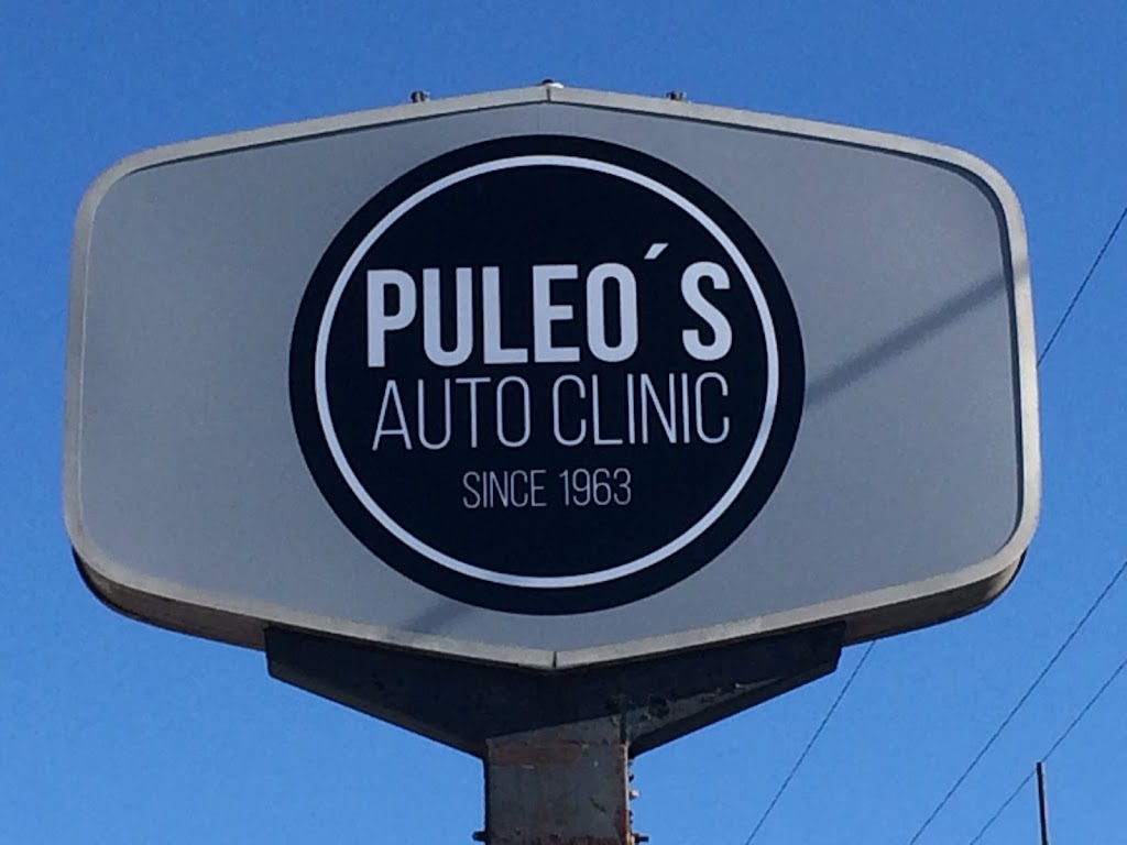 Puleos Auto Clinic | 239 NJ-31, Washington, NJ 07882 | Phone: (908) 835-8488