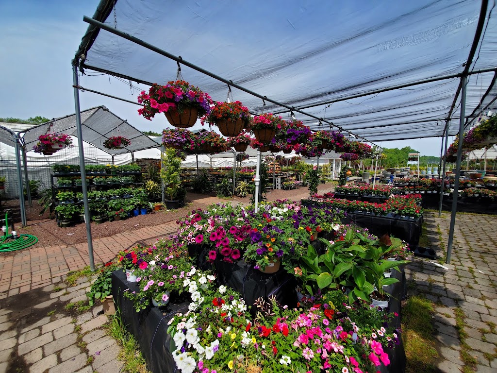 Amatos Garden Center Nursery | 47 Deans Rhode Hall Rd, Monmouth Junction, NJ 08852 | Phone: (732) 297-6790