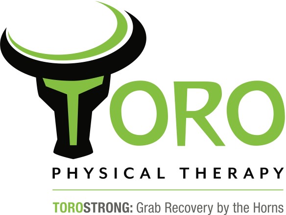 Toro Physical Therapy and Performance Training LLC | 1165 N Tuckahoe Rd, Williamstown, NJ 08094 | Phone: (856) 237-7467