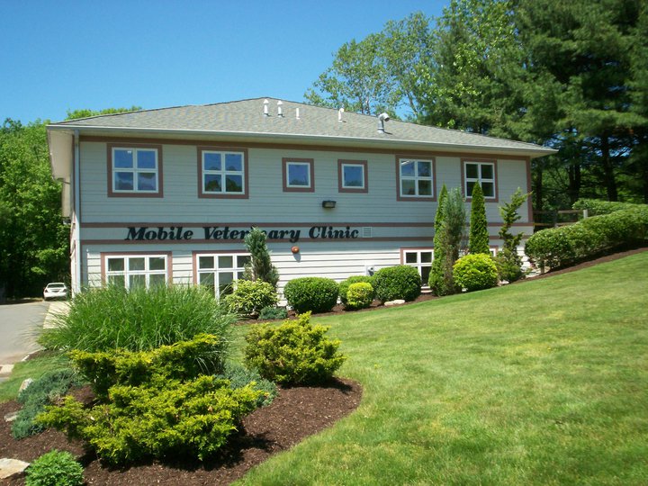 Reid Veterinary Center | 165 Monroe Turnpike, Trumbull, CT 06611 | Phone: (203) 261-9223