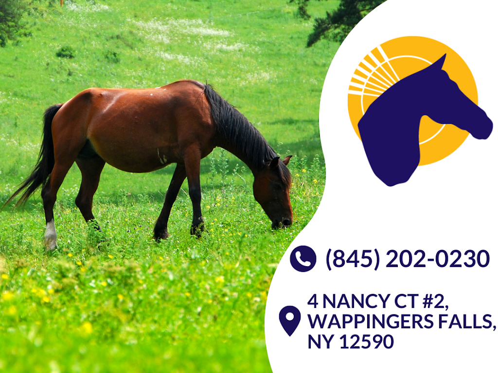 Advanced Equine of the Hudson Valley | 4 Nancy Ct #2, Wappingers Falls, NY 12590 | Phone: (845) 202-0230