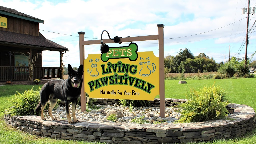 Living Pawsitively | 39 NJ-15, Lafayette, NJ 07848 | Phone: (973) 862-6030