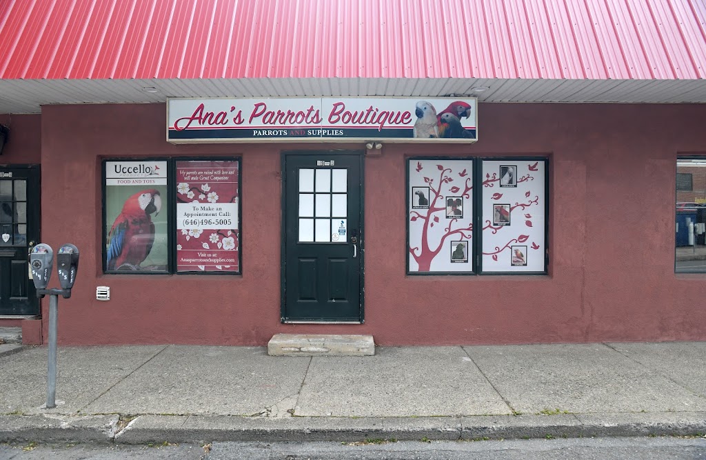 Anas Parrots and Supplies | 1635 Cherry Lane Rd, Analomink, PA 18320 | Phone: (646) 496-5005