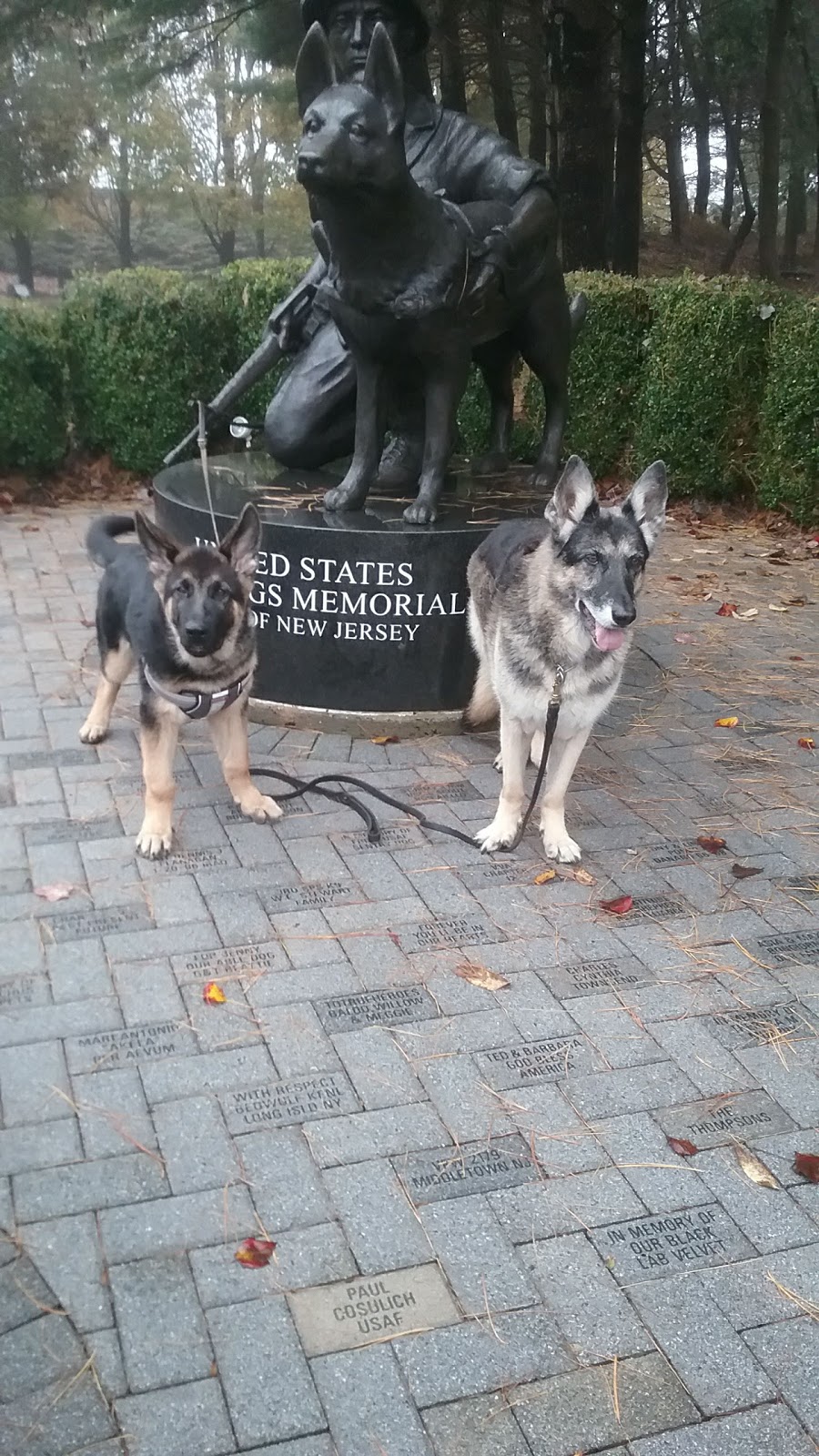 War Dog Memorial | 1 Memorial Ln, Holmdel, NJ 07733 | Phone: (732) 335-0033