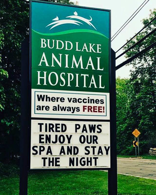 Budd Lake Animal Hospital | 94 US-46, Hackettstown, NJ 07840 | Phone: (908) 852-3515
