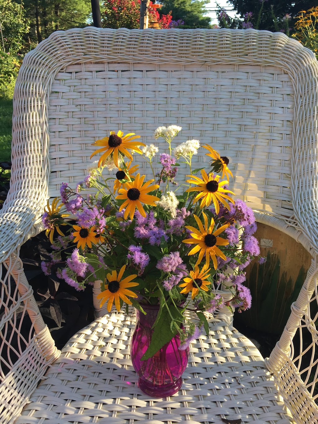 My Sisters Bloomin Garden seasonal cut flowers | 1408, 425 NJ-31, Ringoes, NJ 08551 | Phone: (609) 466-3110