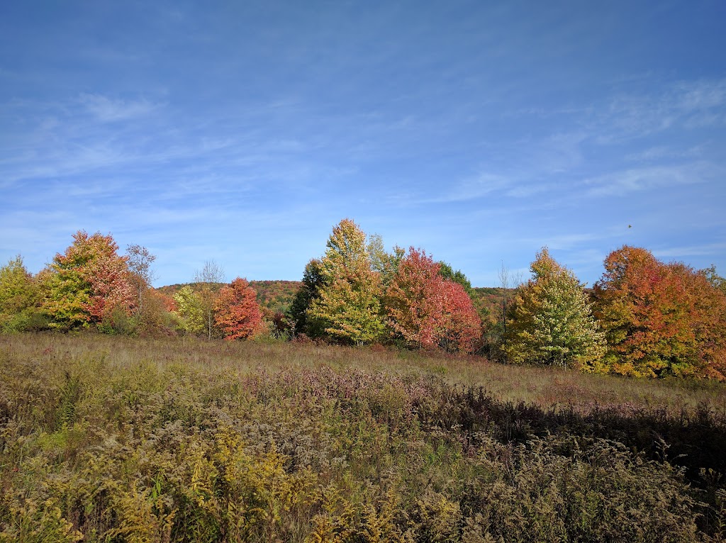 Cascade Valley State Forest | 370 Cascade Valley Rd, Windsor, NY 13865 | Phone: (607) 674-4017