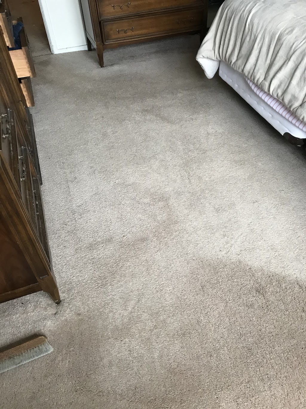 Goldstar Carpet Cleaning | 6 3rd Ave, Port Washington, NY 11050 | Phone: (516) 439-4461
