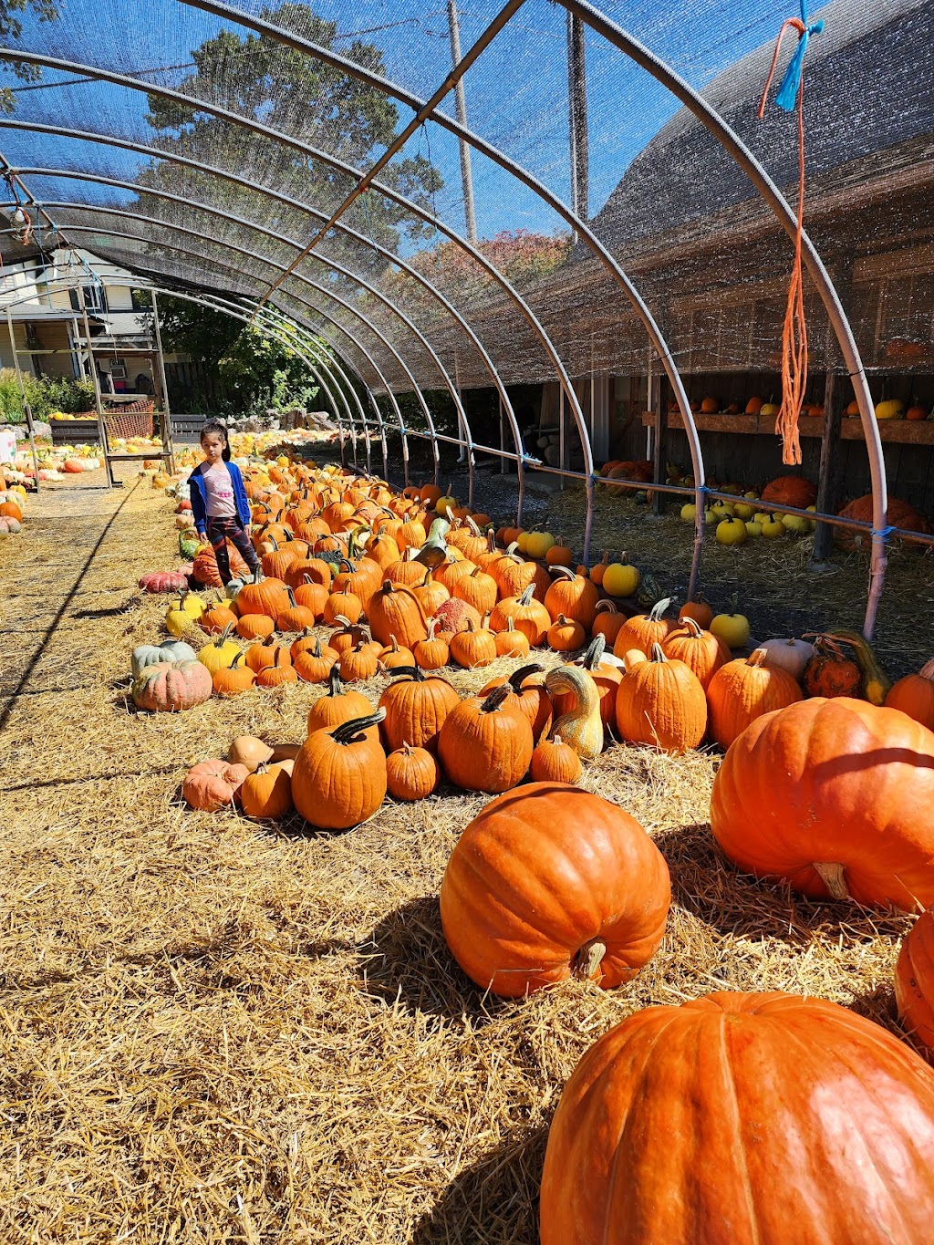 Mackeys Orchard farmstand bakery and ice cream | 284 County Road 519, Belvidere, NJ 07823 | Phone: (908) 475-1507