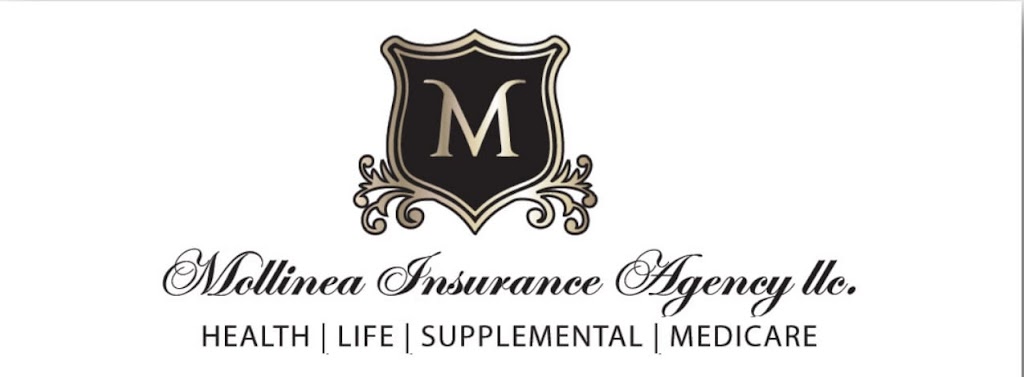 Mollinea Insurance Agency LLC | 191 Daffodil Dr, East Stroudsburg, PA 18301 | Phone: (570) 369-4101